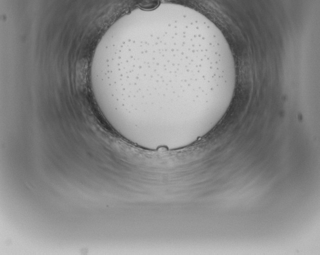 X0000060270030200511112058