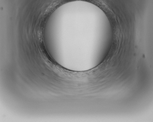 X0000060270031200511112058