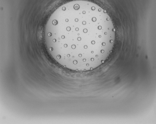 X0000060270032200511112058