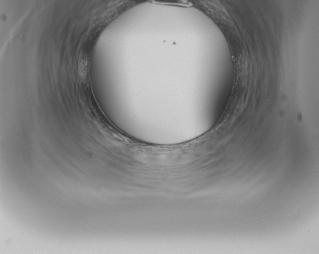 X0000060270033200511112058