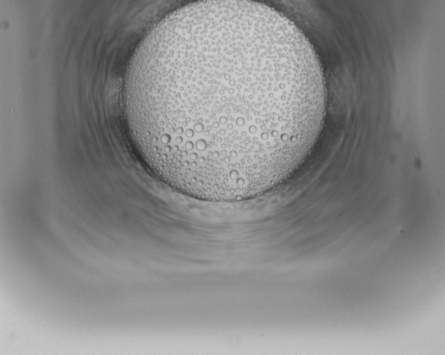 X0000060270034200511112058