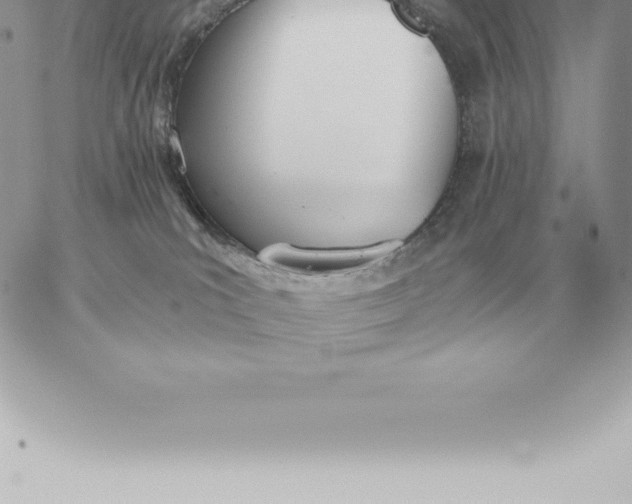 X0000060270039200511112058