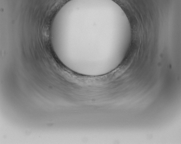 X0000060270040200511112058