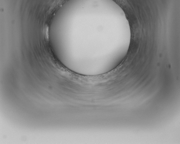 X0000060270041200511112058