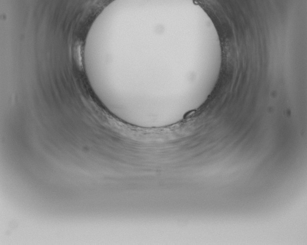 X0000060270042200511112058