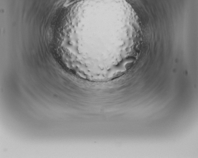 X0000060270043200511112058