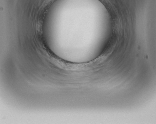 X0000060270044200511112058