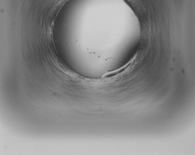 X0000060270045200511112058