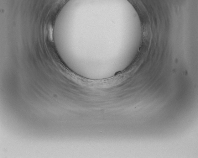 X0000060270046200511112058