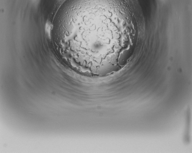 X0000060270047200511112058