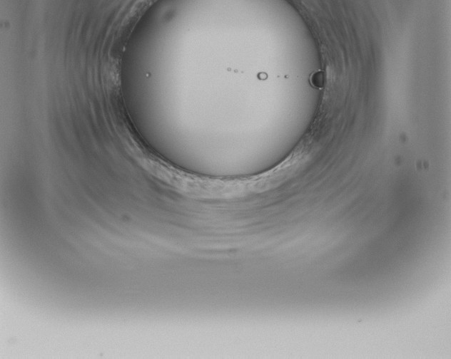 X0000060270048200511112058