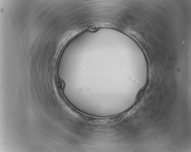 X0000060270049200511112057