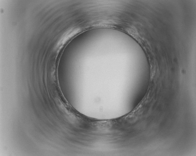 X0000060270050200511112057