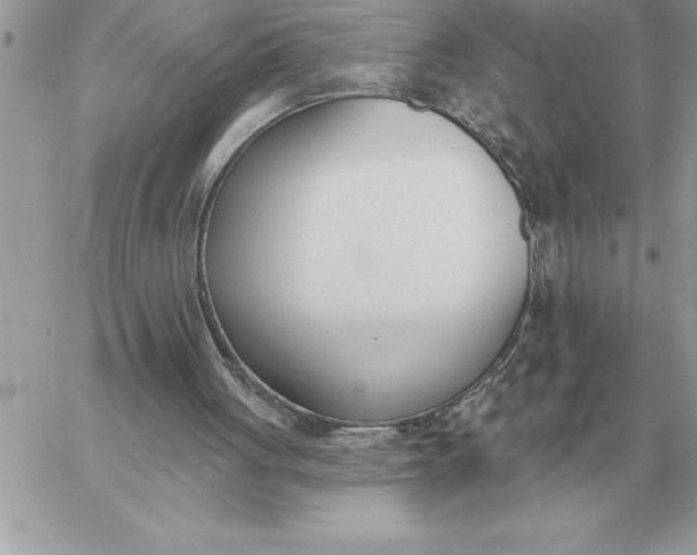 X0000060270051200511112057