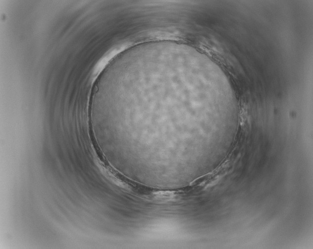 X0000060270052200511112057