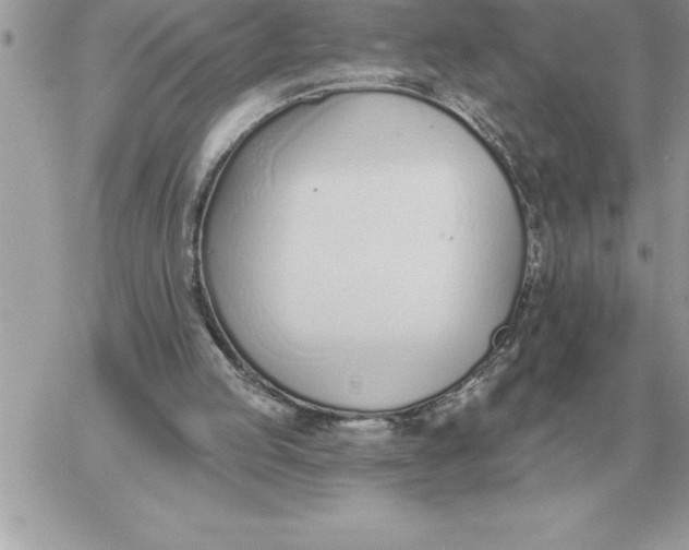 X0000060270053200511112057