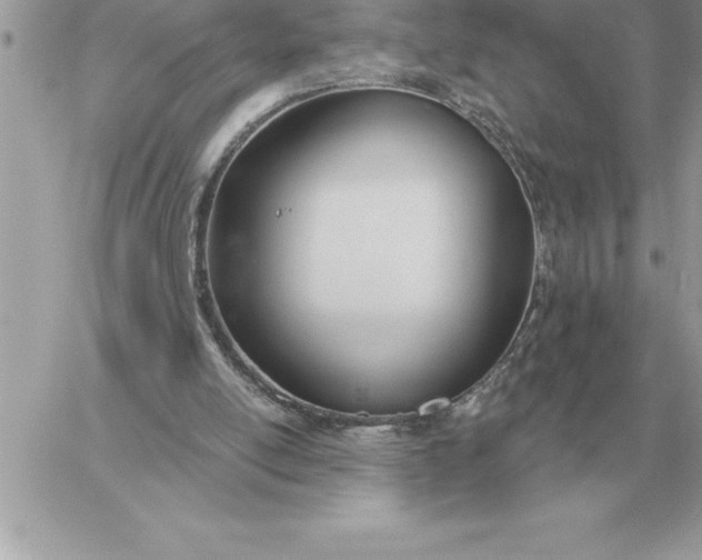 X0000060270054200511112057