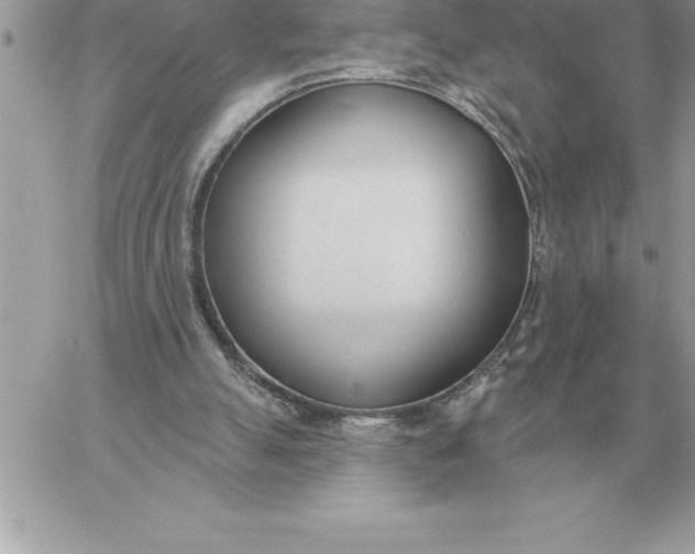 X0000060270055200511112057