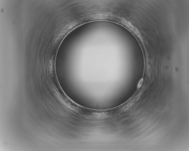 X0000060270057200511112057