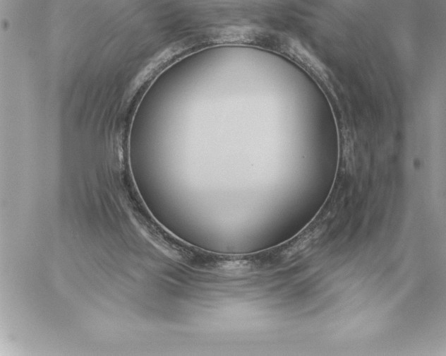 X0000060270059200511112057