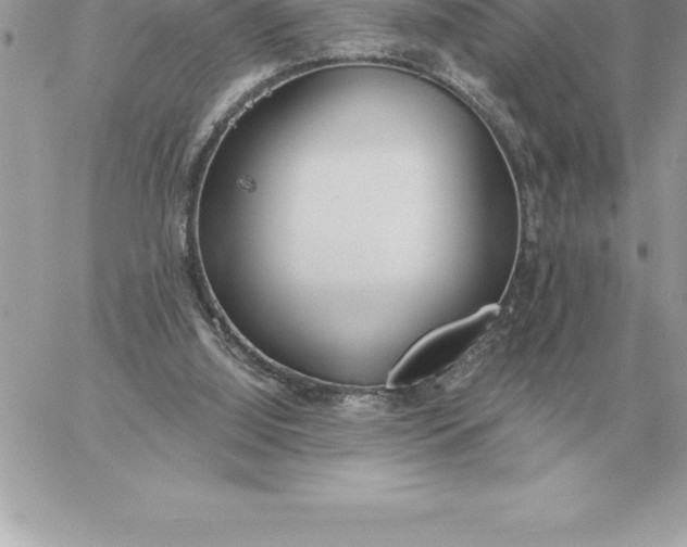 X0000060270060200511112057