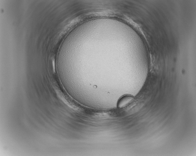 X0000060270061200511112057