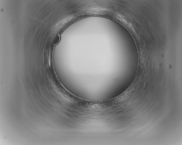 X0000060270062200511112058