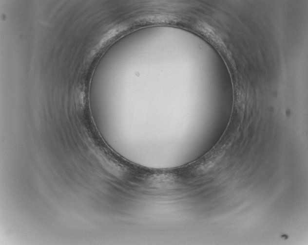 X0000060270063200511112058