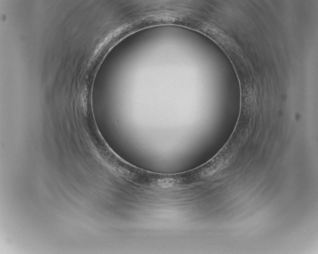 X0000060270064200511112058