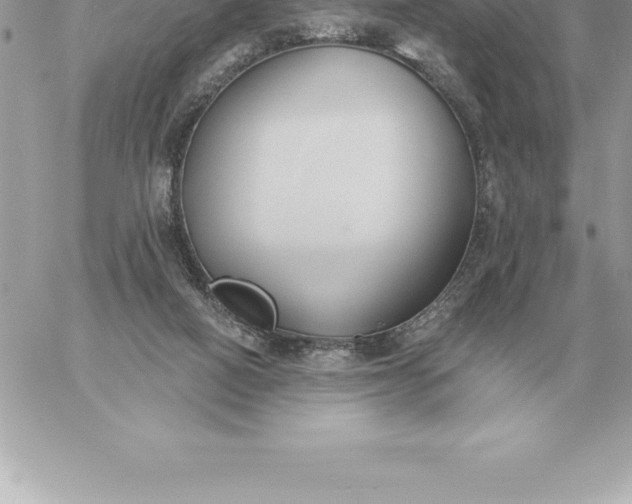 X0000060270066200511112058