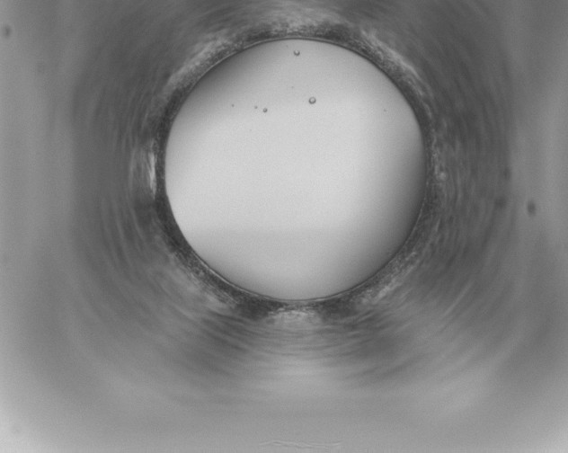 X0000060270067200511112058