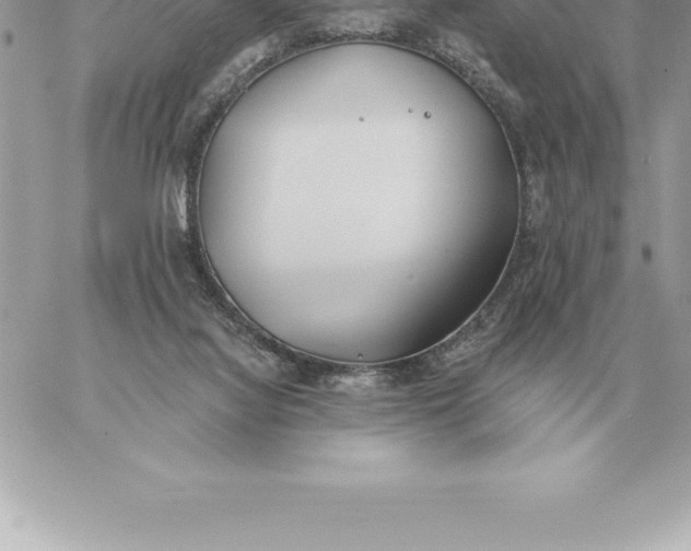 X0000060270068200511112058