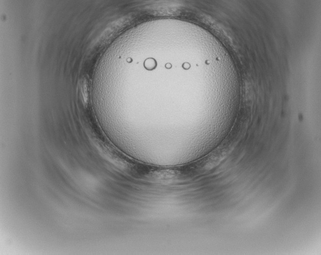 X0000060270069200511112058