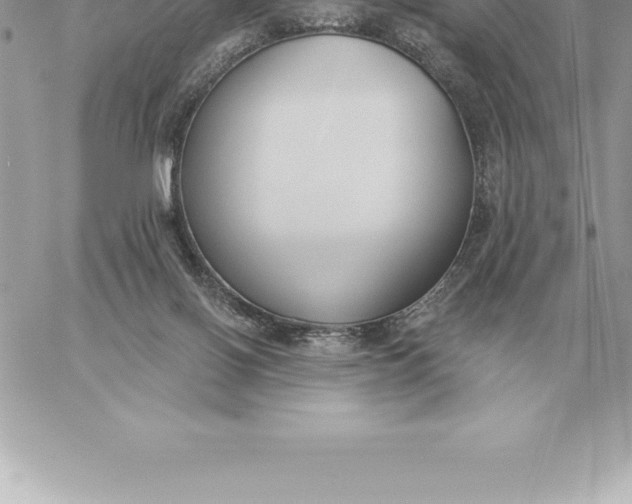 X0000060270070200511112058