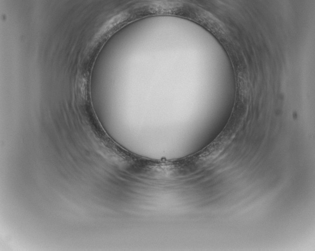 X0000060270071200511112058