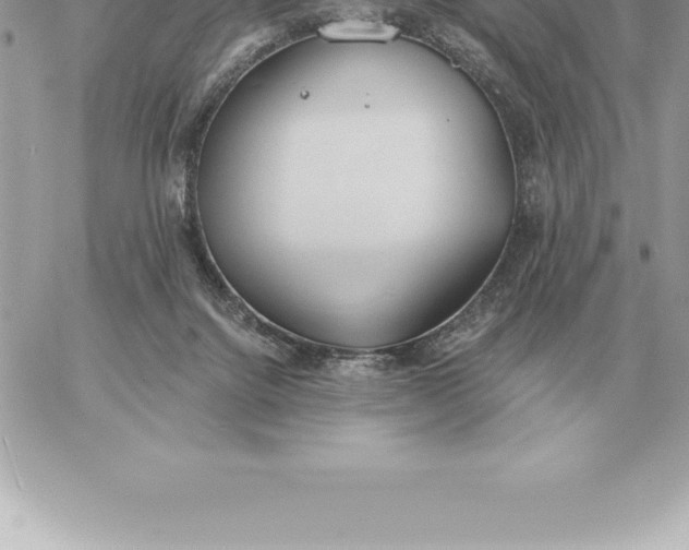 X0000060270072200511112058