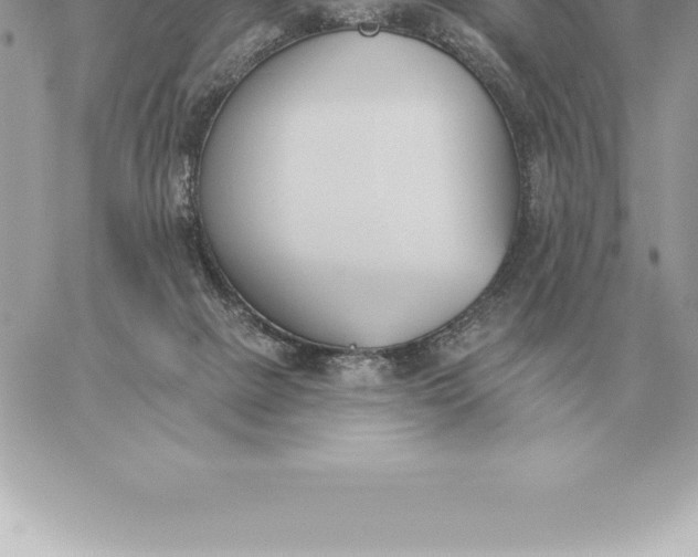 X0000060270073200511112058