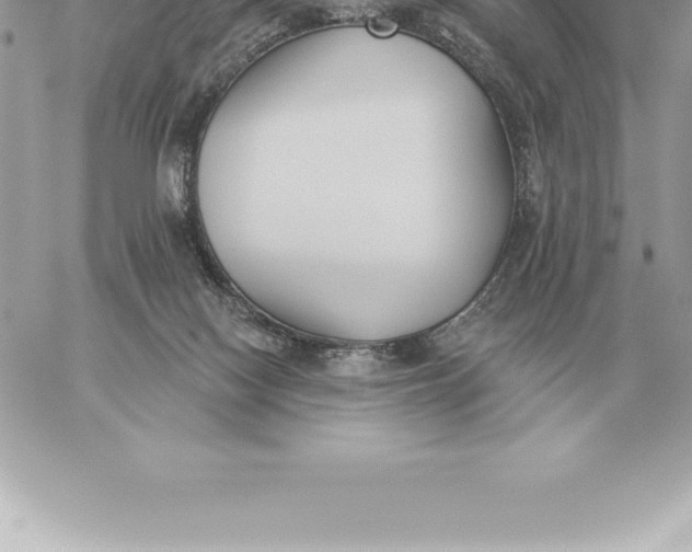 X0000060270074200511112058