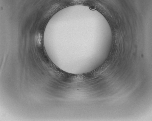 X0000060270075200511112058