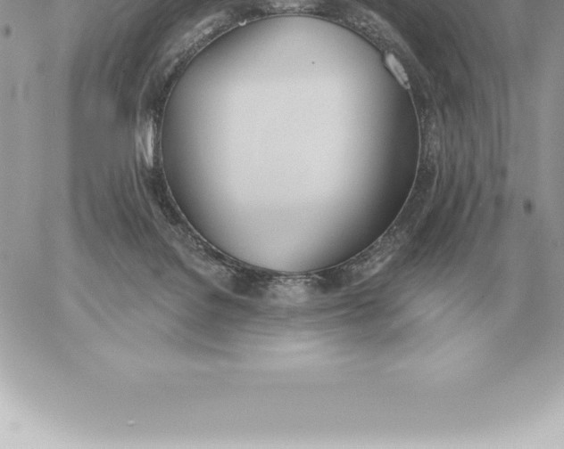 X0000060270076200511112058