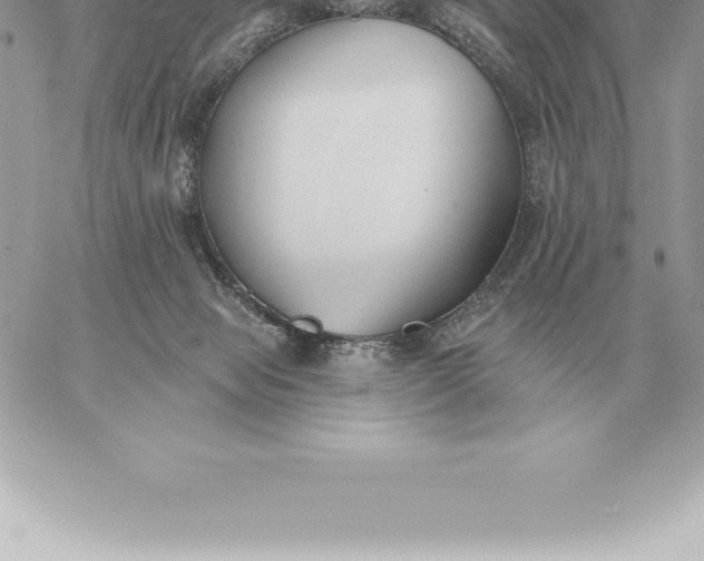 X0000060270077200511112058