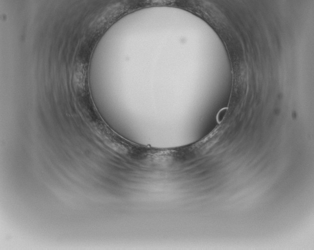 X0000060270078200511112058