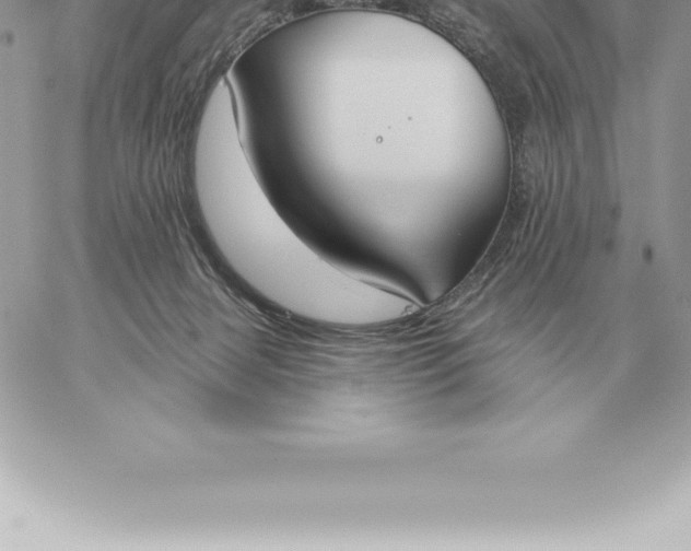 X0000060270079200511112058