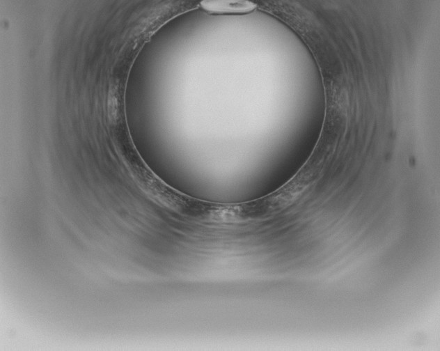 X0000060270080200511112058