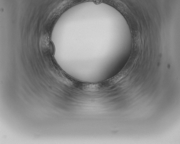 X0000060270081200511112058