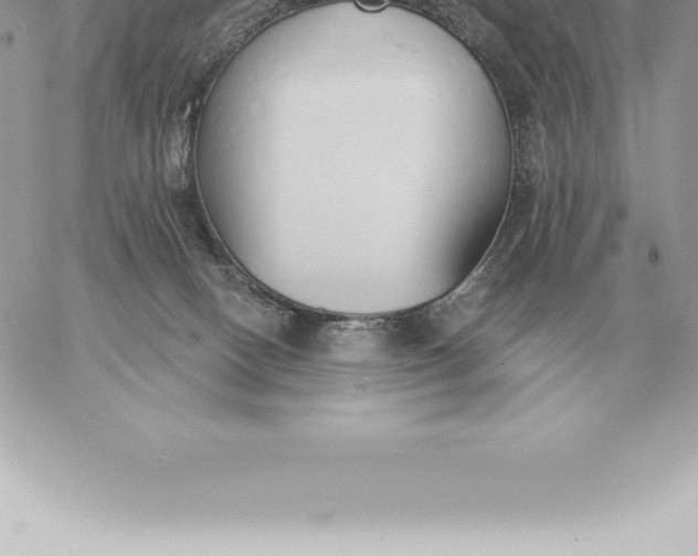 X0000060270082200511112058