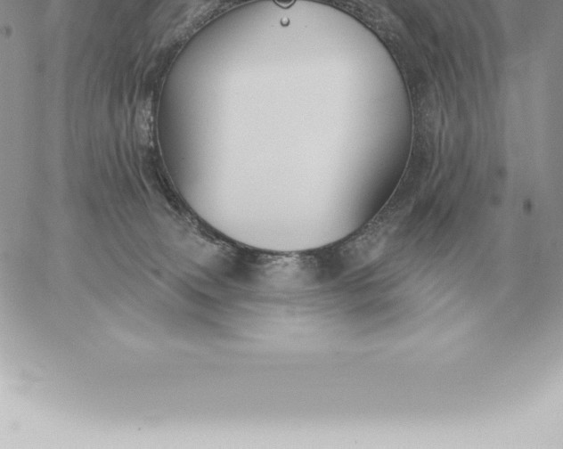 X0000060270083200511112058