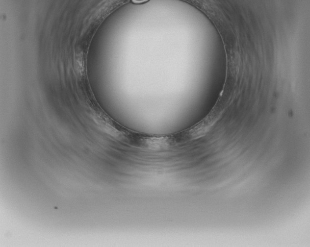 X0000060270085200511112058