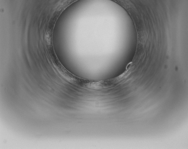 X0000060270086200511112058