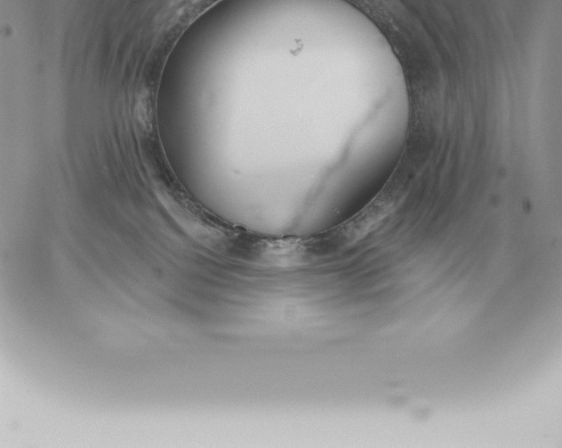 X0000060270088200511112058